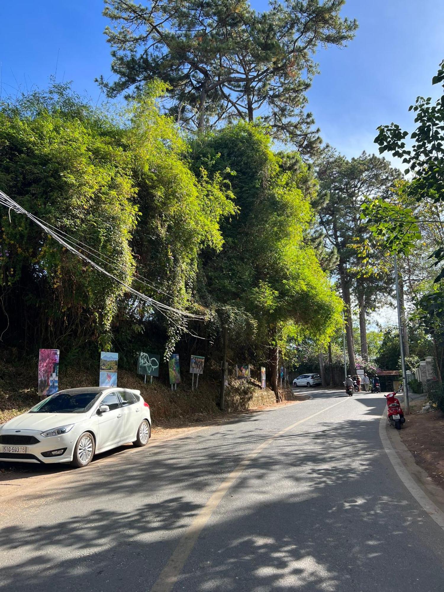 Nature Hotel - Dalat 3 מראה חיצוני תמונה